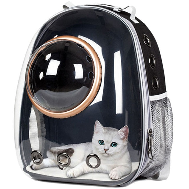 Astronaut Bubble Transparent Outdoor Carrying Cat