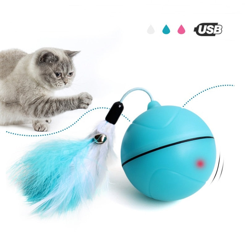 cat Laser toy